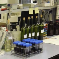 FP Laboratorio en ASTURIAS