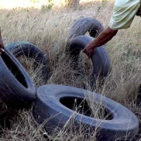 FP Salud Ambiental a Distancia en Madrid