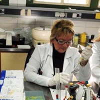 Pruebas Libres FP Imagen para el Diagnóstico en Madrid