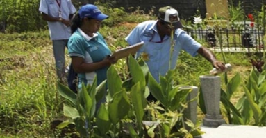 Pruebas Libres FP Salud Ambiental