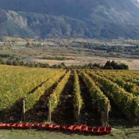 Curso Pruebas Libres FP Vitivinicultura en Valencia