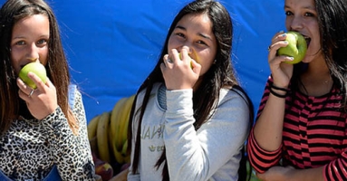 Estudiar Control Alimentario a Distancia: Centros de Formación excelentes