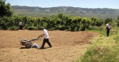 Mejora Profesionalmente: aquí tienes cursos de FP Educación y Control Ambiental