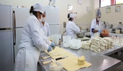 ¿Te interesa estudiar Auxiliar de Industrias Alimentarias? Consulta los 4 mejores Cursos