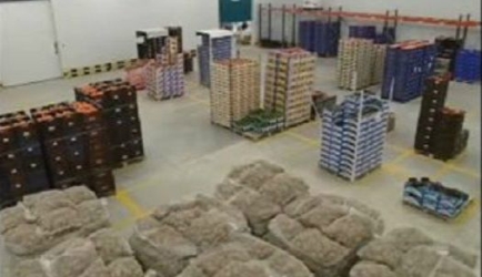 Dónde conseguir el Título de Gestor de Almacén