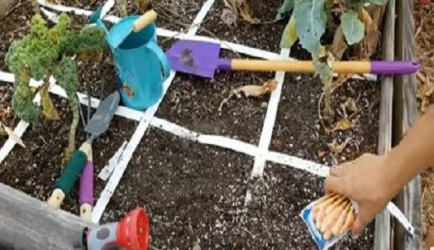 Los 4 Cursos más valorados de Horticultor
