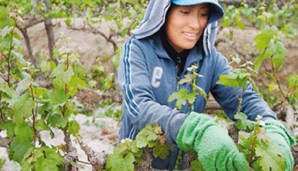 Los 7 mejores cursos de Microbiología e Higiene Alimentaria a Distancia