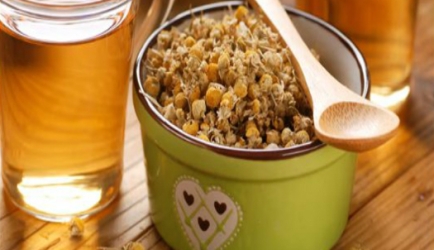 Los Centros Formativos con las mejores Opiniones para estudiar Naturopatía