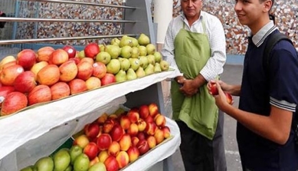 La mejor formación para ser Nutricionista en Alimentación Saludable