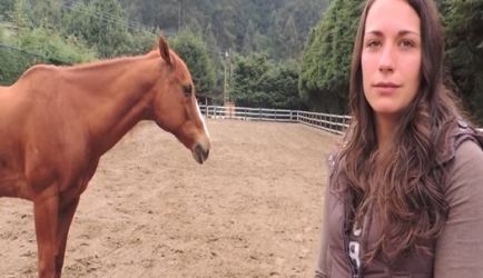 Cómo aprender Psicología y Terapéutica Equina