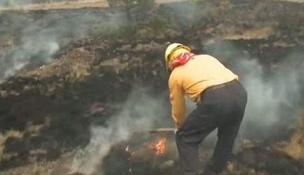 Dónde estudiar FP Trabajos Forestales y de Conservación del Medio Natural: 7 formaciones con muy buenas opciones