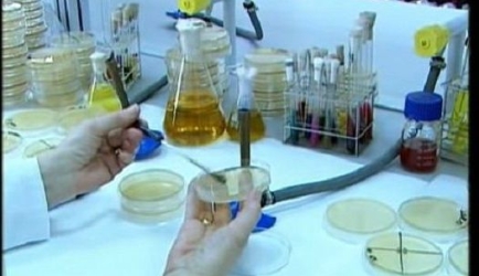 Técnico en Microbiología: las mejores formaciones a Distancia que encontrarás en la Web