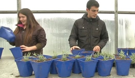 Las acciones formativas de FP Grado Medio en Jardinería y Floristería más buscadas en Internet