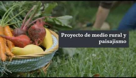 Curso de Grado Superior de Paisajismo y Medio Rural a Distancia: las asignaturas que aprenderás