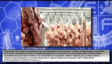 Experiencia y opiniones de los Alumnos sobre Titularse en el Curso de Elaborador de Productos Cárnicos