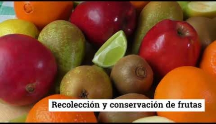 Titúlate como Fruticultor a Distancia: plan de estudios y tiempo de duración de la Formación
