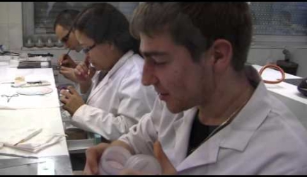Experiencia y opiniones de los Estudiantes sobre estudiar la Formación Profesional en Prótesis Dentales