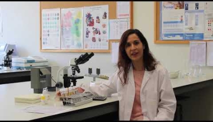Experiencia y opiniones de los Especialistas sobre Educarse en FP de Grado Medio en Laboratorio