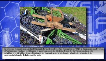 Experiencia y opiniones de los graduados sobre Educarse como Fruticultor