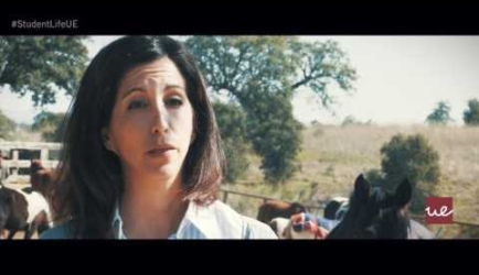 Formación de Psicología y Terapéutica Equina a Distancia: te mostramos lo que exponen los Especialistas