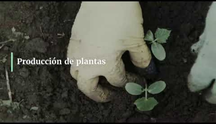 Curso de FP Trabajos Forestales y de Conservación del Medio Natural a Distancia: plan de estudios y tiempo de duración del Curso
