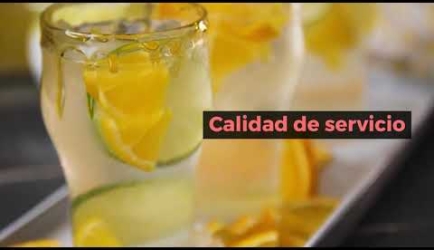 ¿Cuánto tiempo dura la Formación para titularte como Camarero de Restaurante Bar y cuál es su plan de Estudios?