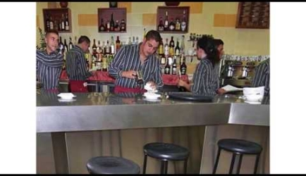 Educarse a Distancia en la Formación Profesional en Dirección de Servicios en Restauración: Opiniones que nos cuentan los Titulados