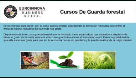 Lo que Afirman los Especialistas sobre Formarse como Trabajador Forestal