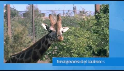 Lo que comentan los graduados sobre Titularse en la Formación de Auxiliar Veterinario de Animales Exóticos