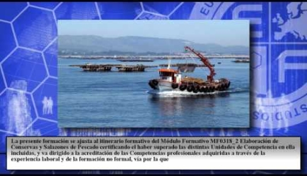 Experiencia y opiniones de los Alumnos sobre Formarse como Elaborador de Conservas de Productos de la Pesca
