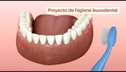 ¿Deseas conocer las asignaturas que estudiarás en el Curso de FP Higiene Bucodental?
