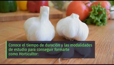 Conviértete en Horticultor a Distancia: plan de estudios y tiempo de duración de la Formación