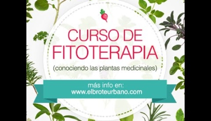 Fitoterapia y Aromaterapia: los expertos nos exponen sus experiencias