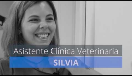 ¿Te interesa estudiar en el Curso de Máster Auxiliar Técnico Veterinario ATV a Distancia?: conoce lo que opinan los Estudiantes