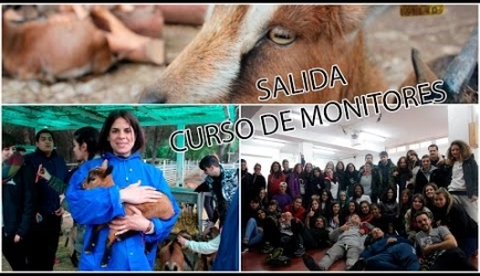 ¿Te interesa estudiar en el Curso de Monitor de Actividades de Tiempo Libre Infantil y Juvenil?: conoce lo que opinan los Especialistas