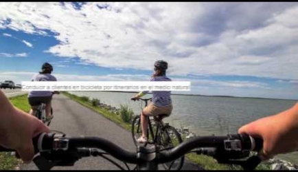 Educarse a Distancia en la FP de Conducción de Actividades Físico-Deportivas en el Medio Natural: Opiniones que nos cuentan los Expertos