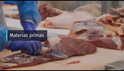 Fórmate como Carnicero a Distancia: plan de estudios y tiempo de duración del Curso