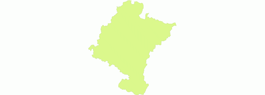 PROVINCIA DE NAVARRA