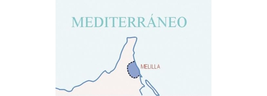 PROVINCIA DE PROVINCIA DE MELILLA