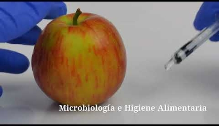 Curso de Microbiología e Higiene Alimentaria a Distancia: las asignaturas que estudiarás en la Formación